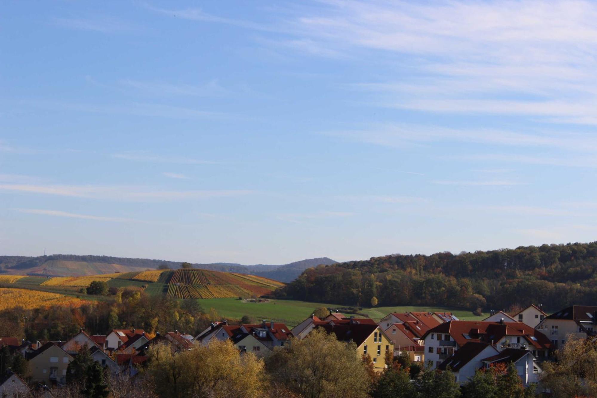 Gaestehaus Zum Wolffenturm Lehrensteinsfeld Номер фото