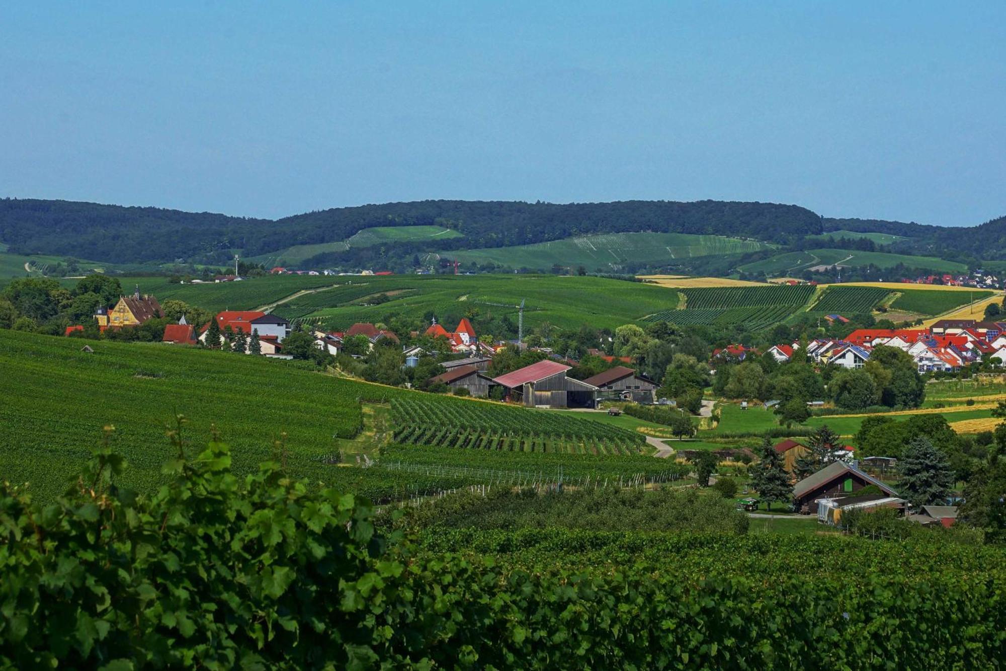 Gaestehaus Zum Wolffenturm Lehrensteinsfeld Экстерьер фото
